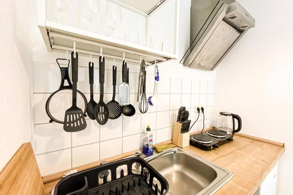Apartment Am Auensee Mit Grosser Terrasse & Privat-Parkplatz Лейпциг Экстерьер фото